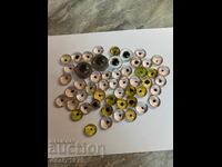 Glass eyes for taxidermied animals