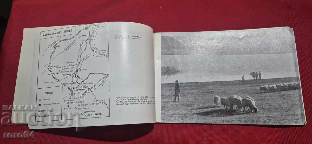 Auction  Magura Cave