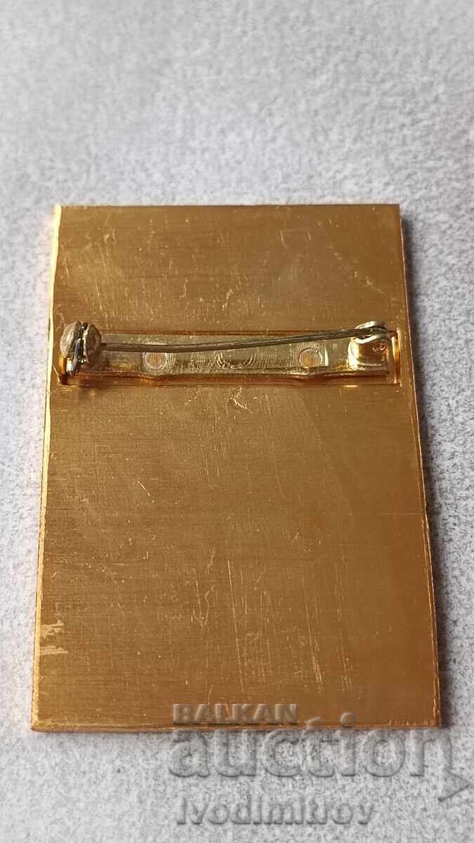 Znachka VIII otkrito evropeĭsko pŭrvenstvo po kanu-kayak yunoshi i devoĭki με τιμή 12.65 BGN | € 6.47