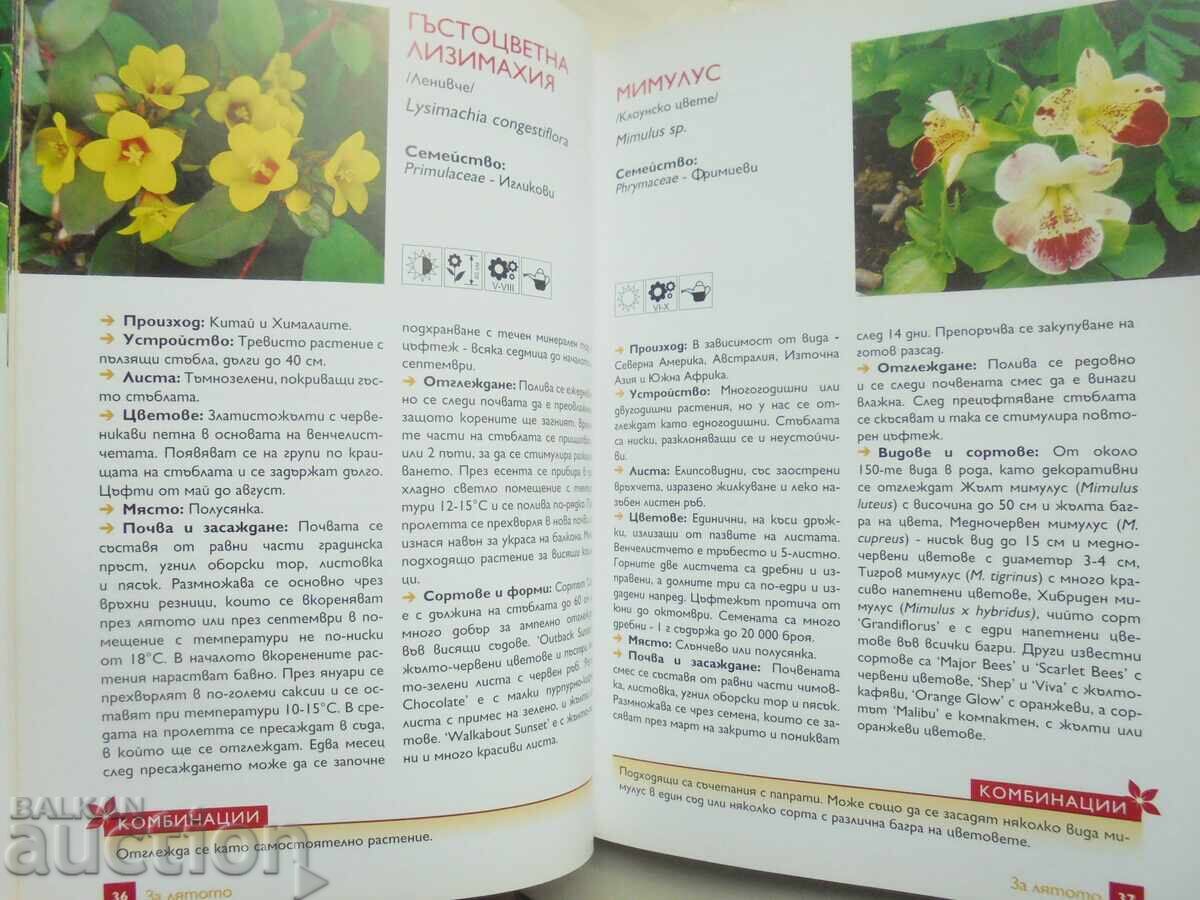 Balcony Flowers. Part 1-2 Anka Doncheva et al. 2010 - 5