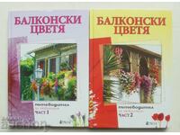 Balcony Flowers. Part 1-2 Anka Doncheva et al. 2010