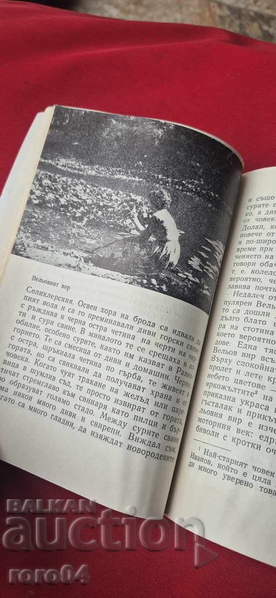 ROPOTAMO - NIKOLA TODOROV - 5 ROPOTAMO - NIKOLA TODOROV - 5