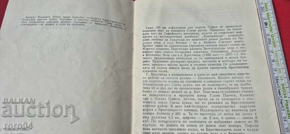 Livrarea GAURĂ DE MESTECAT - VLADIMIR POPOV Livrarea GAURĂ DE MESTECAT - VLADIMIR POPOV