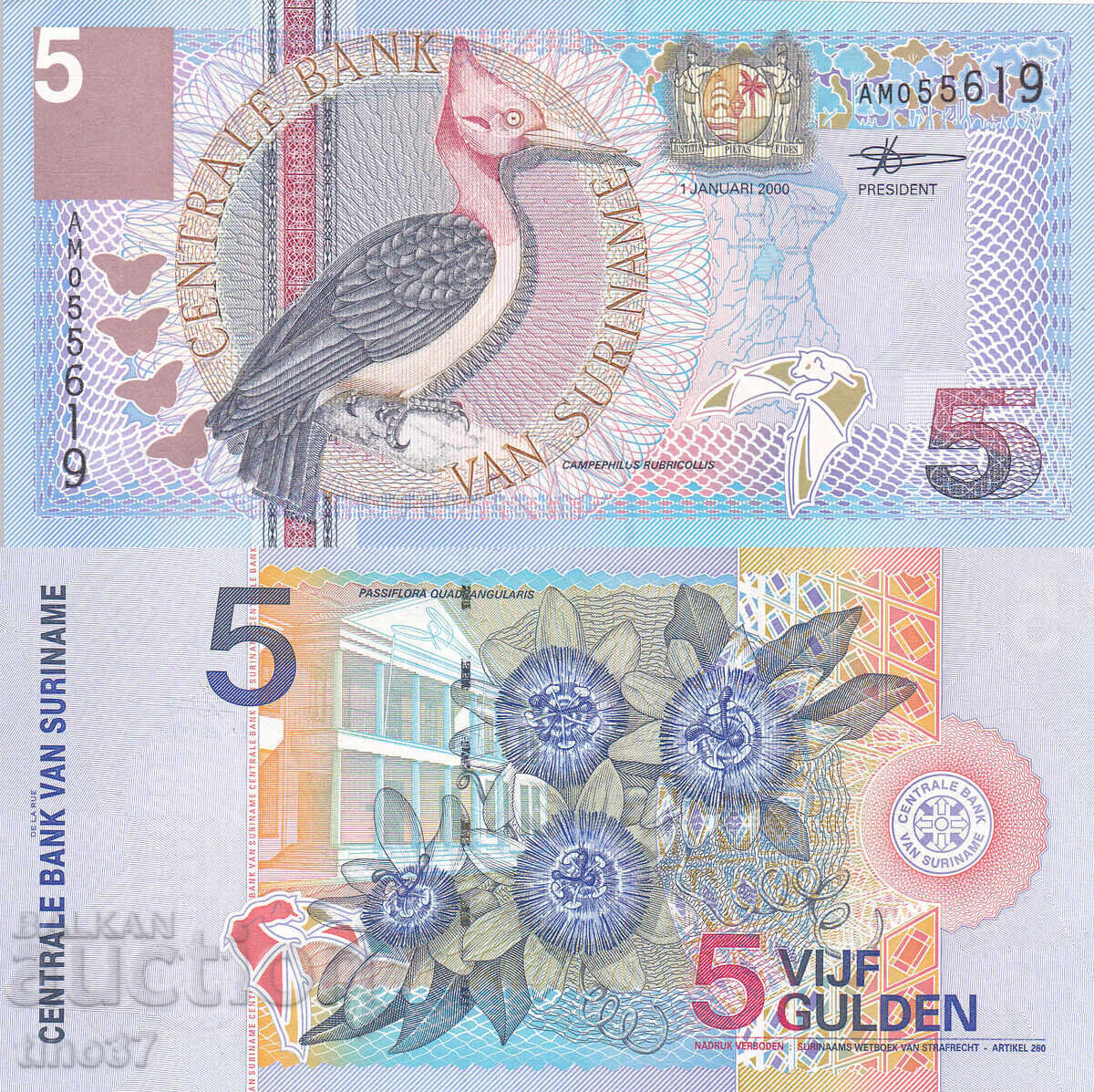 tino37- ΣΟΥΡΙΝΑΜ - 5 GUILDENS - 2000 - UNC