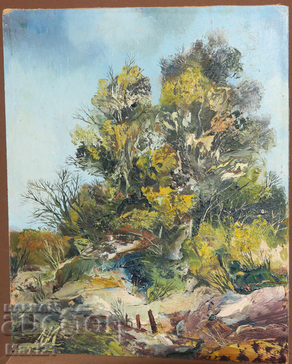 Pictură în ulei, peisaj frumos de natură cu preț 250.00 BGN | € 127.82