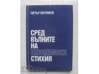 Amidst the Waves of the Invisible Element - Petar Evtimov 2012