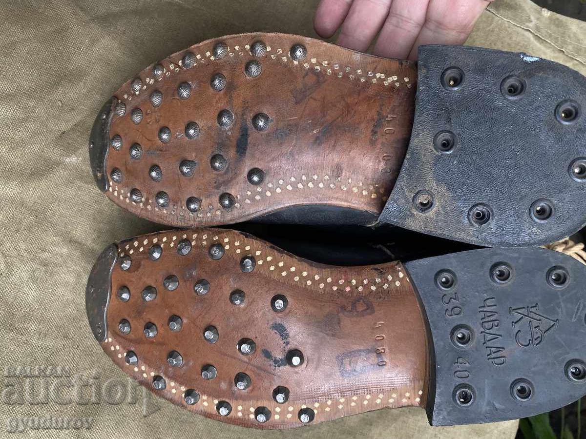 Аукцион Цинтари Аукцион Цинтари