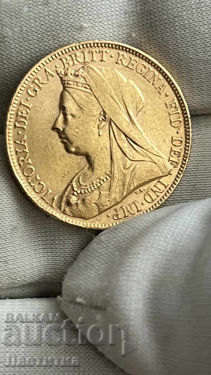 Gold coin
