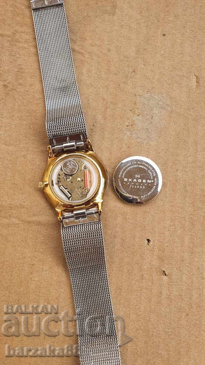 Delivery of Women's watch SKAGEN