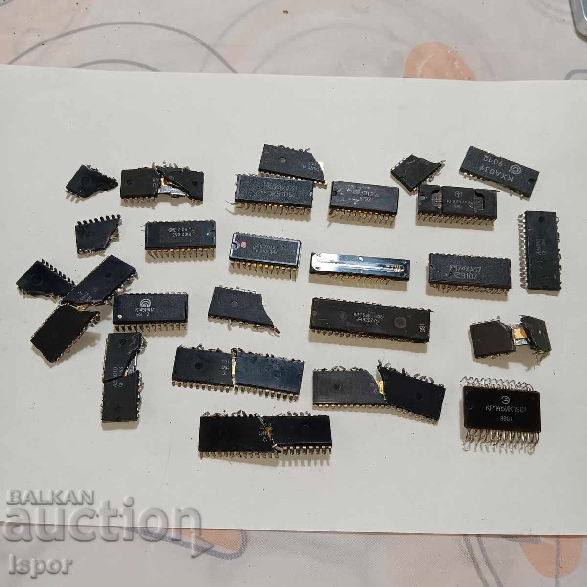 Large microchips with visible gold plating