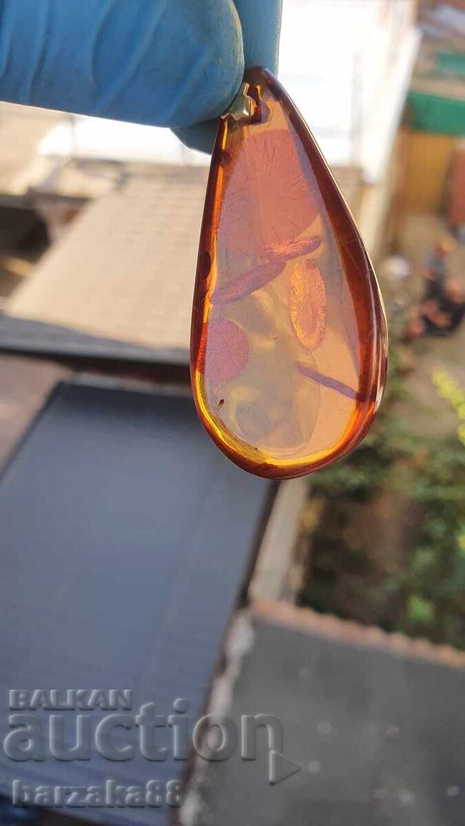 Amber Pendant Amber - 6