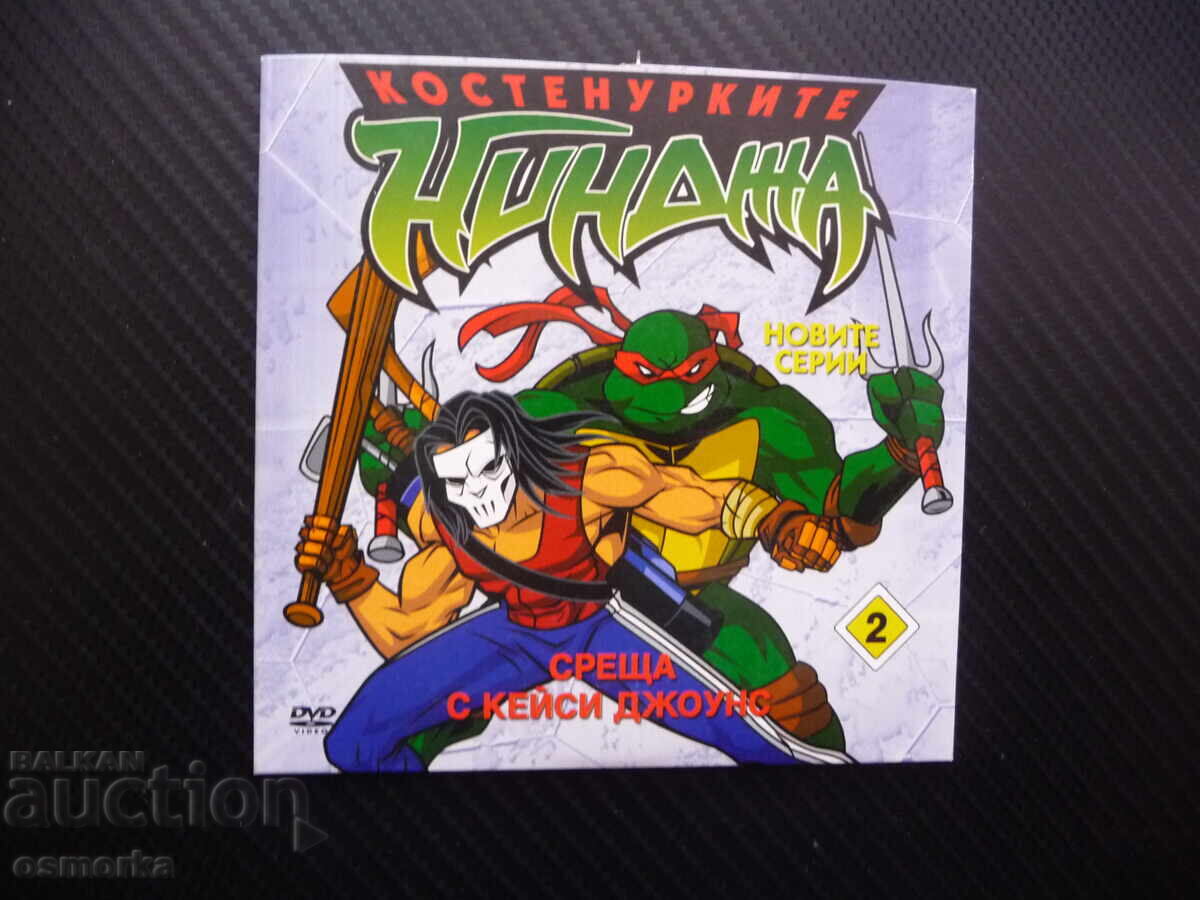 Teenage Mutant Ninja Turtles 2 DVD Movie Meet Casey Jones The New Ones