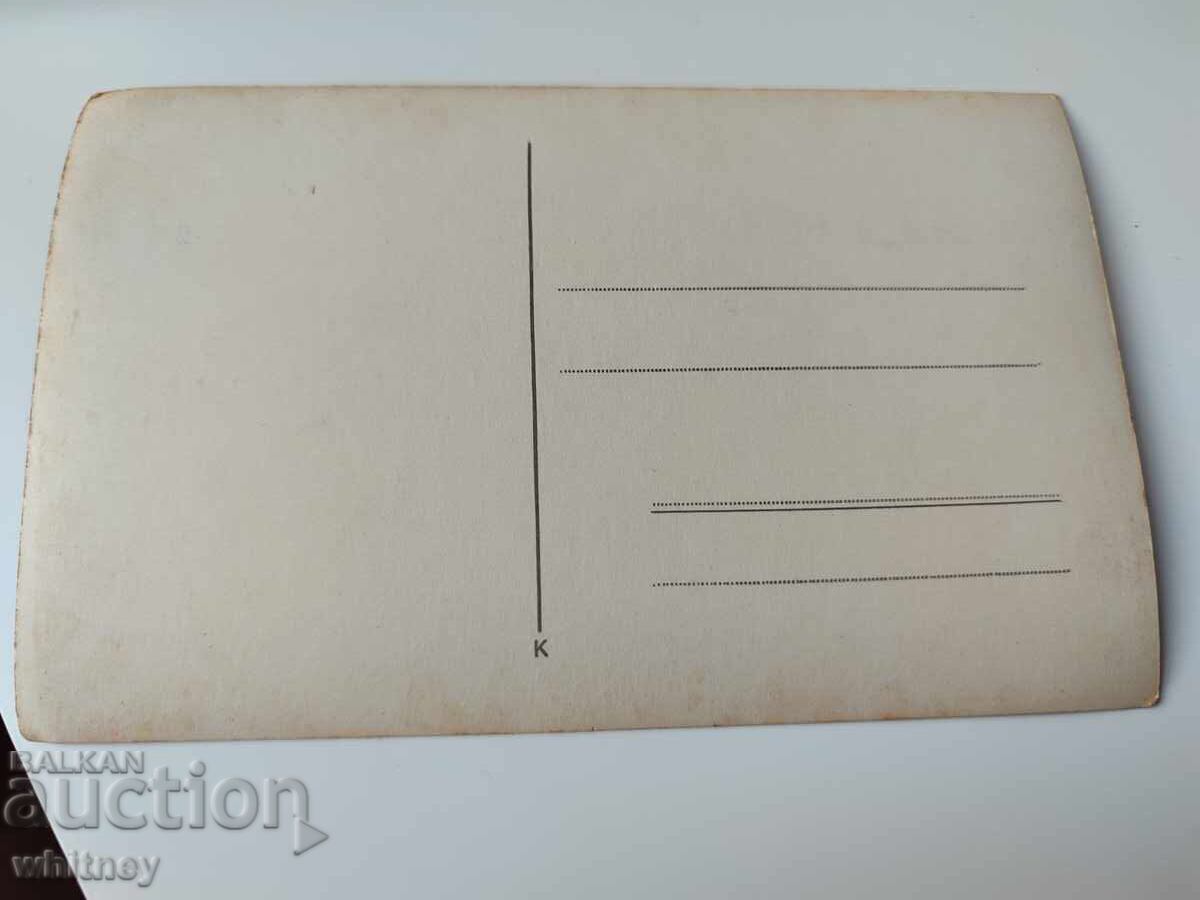 Rosehip with price 9.99 BGN | € 5.11