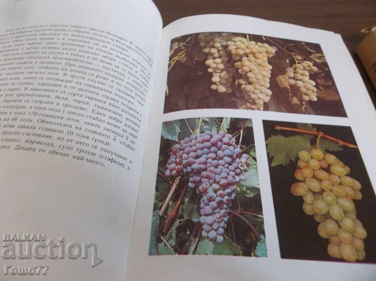 Παράδοση Βιβλία