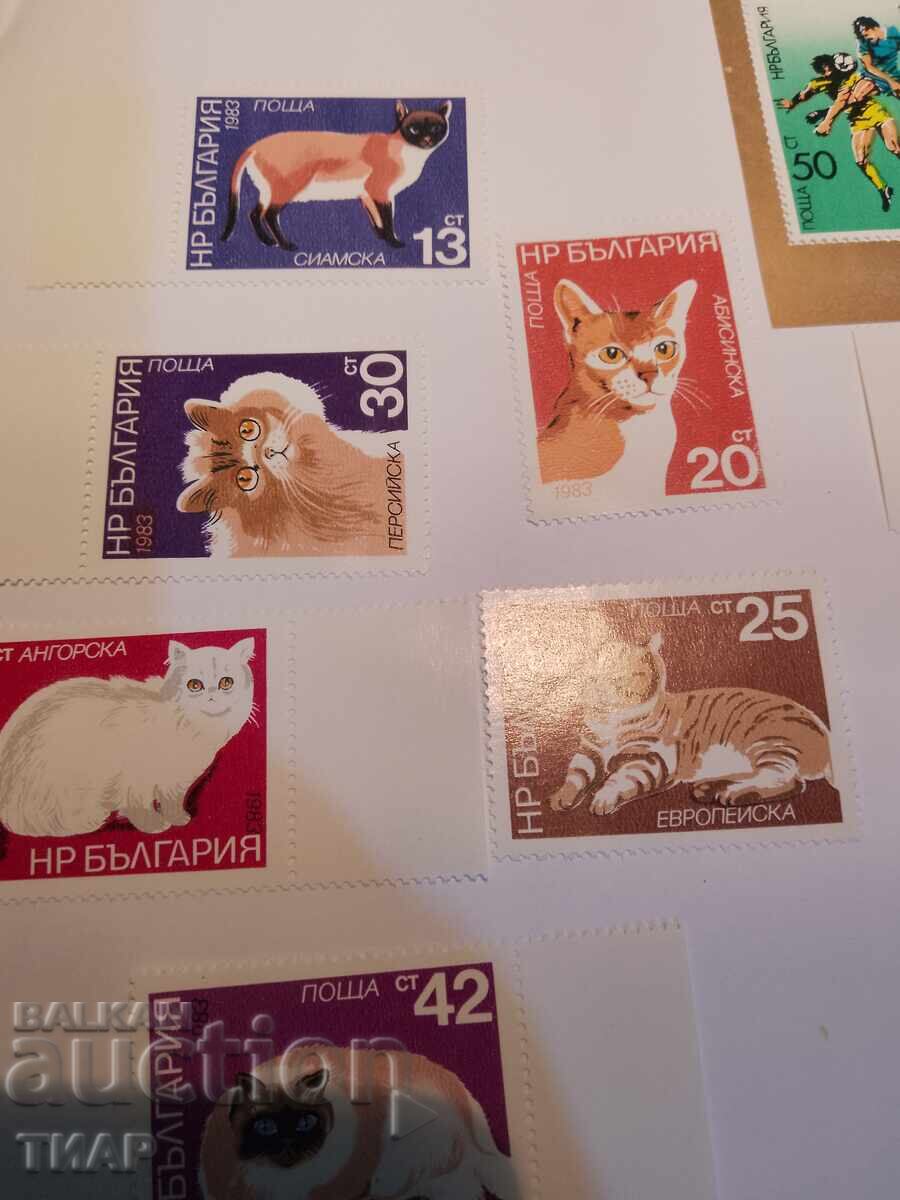 Postage stamps Bulgaria -0.01 cents with price 6.50 BGN | € 3.32 Postage stamps Bulgaria -0.01 cents with price 6.50 BGN | € 3.32