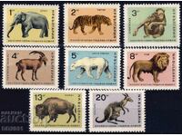 Bulgaria 1966 - Animals MNH