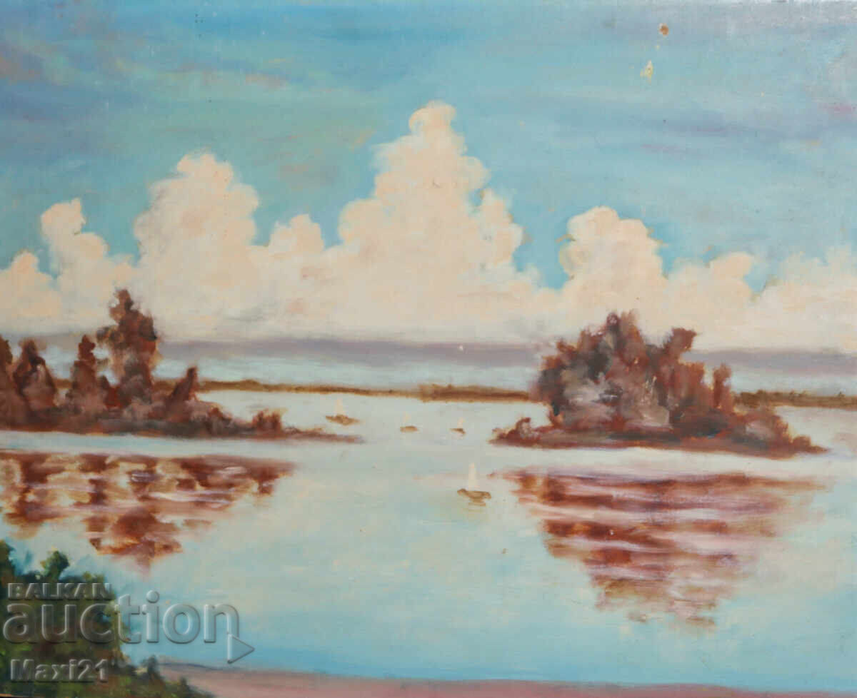 Seascape painting oil paints with price 250.00 BGN | € 127.82