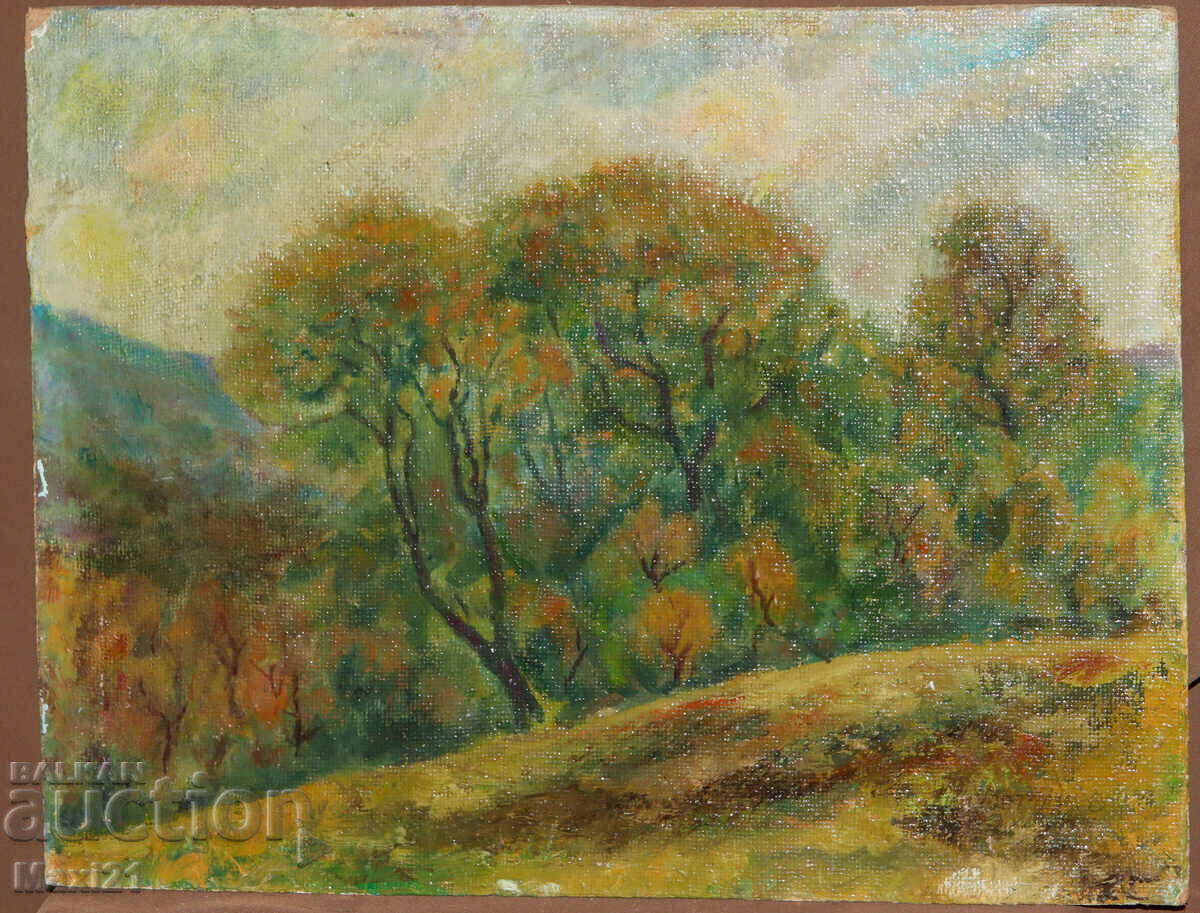 Oil painting, forest landscape with price 240.00 BGN | € 122.71