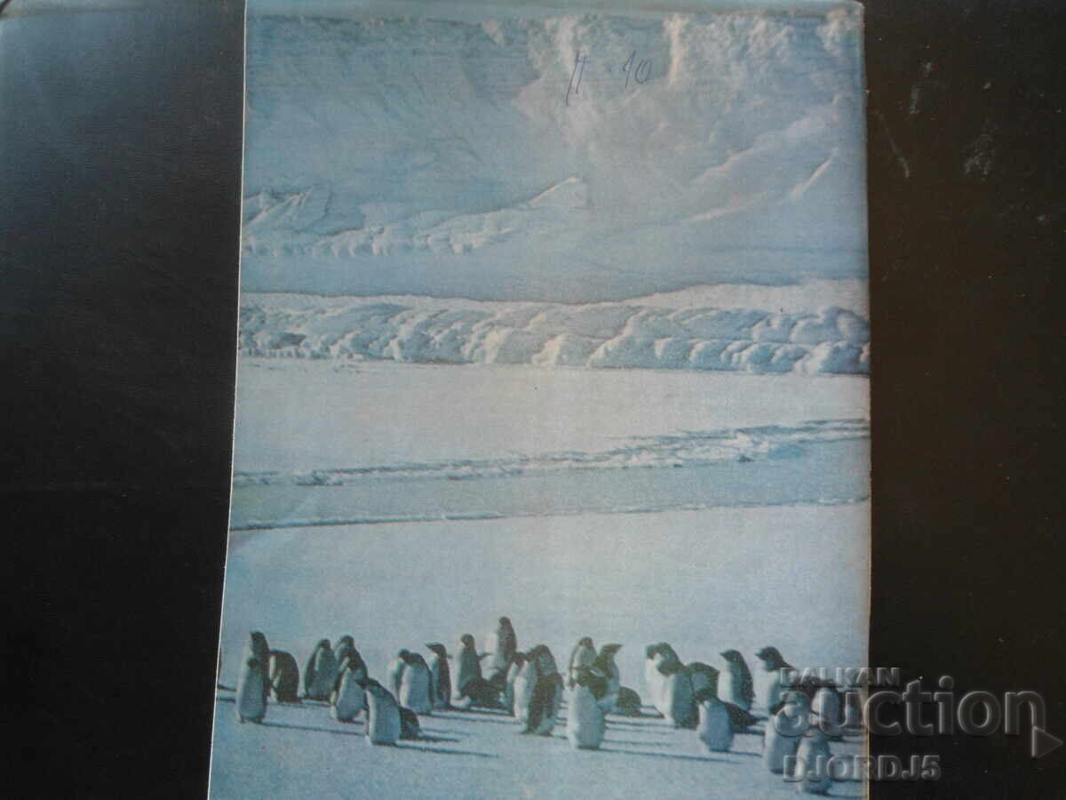 Δημοπρασία Περιοδικό "Κόσμος", 3 τεύχη 1979