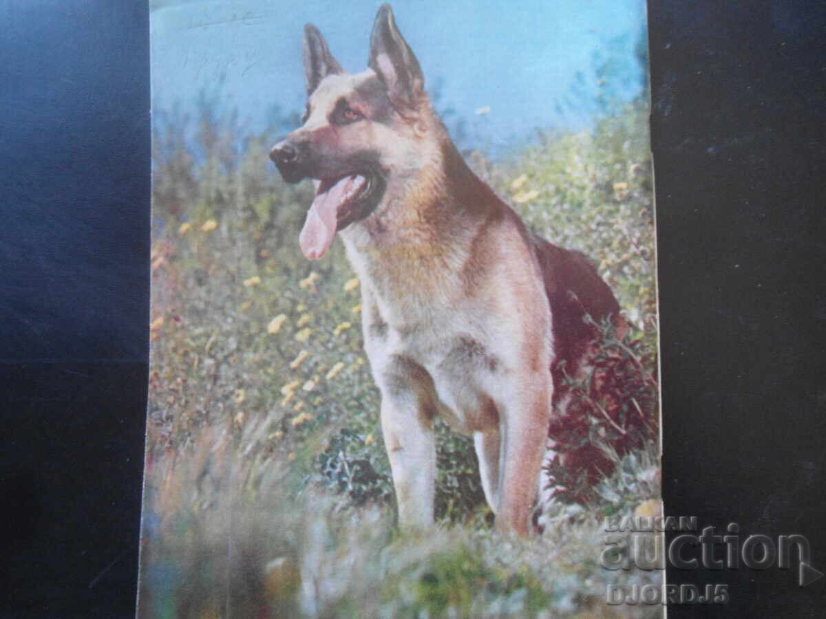 Аукцион Списание "Космос", 5 брой 1979 г.