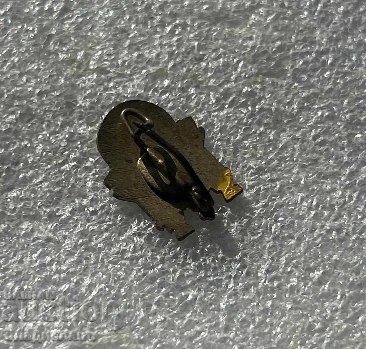 Spania - insignă veche de fotbal PONTEVEDRA cu preț € 14.32 | 28.01 BGN