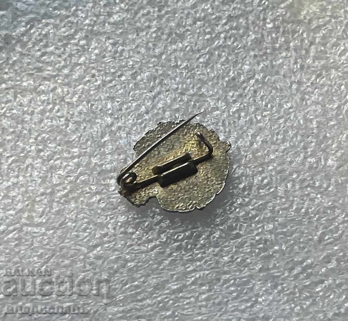 Испания - футболна значка РЕАЛ ВАЛЯДОЛИД с цена 19.50 лв. | € 9.97