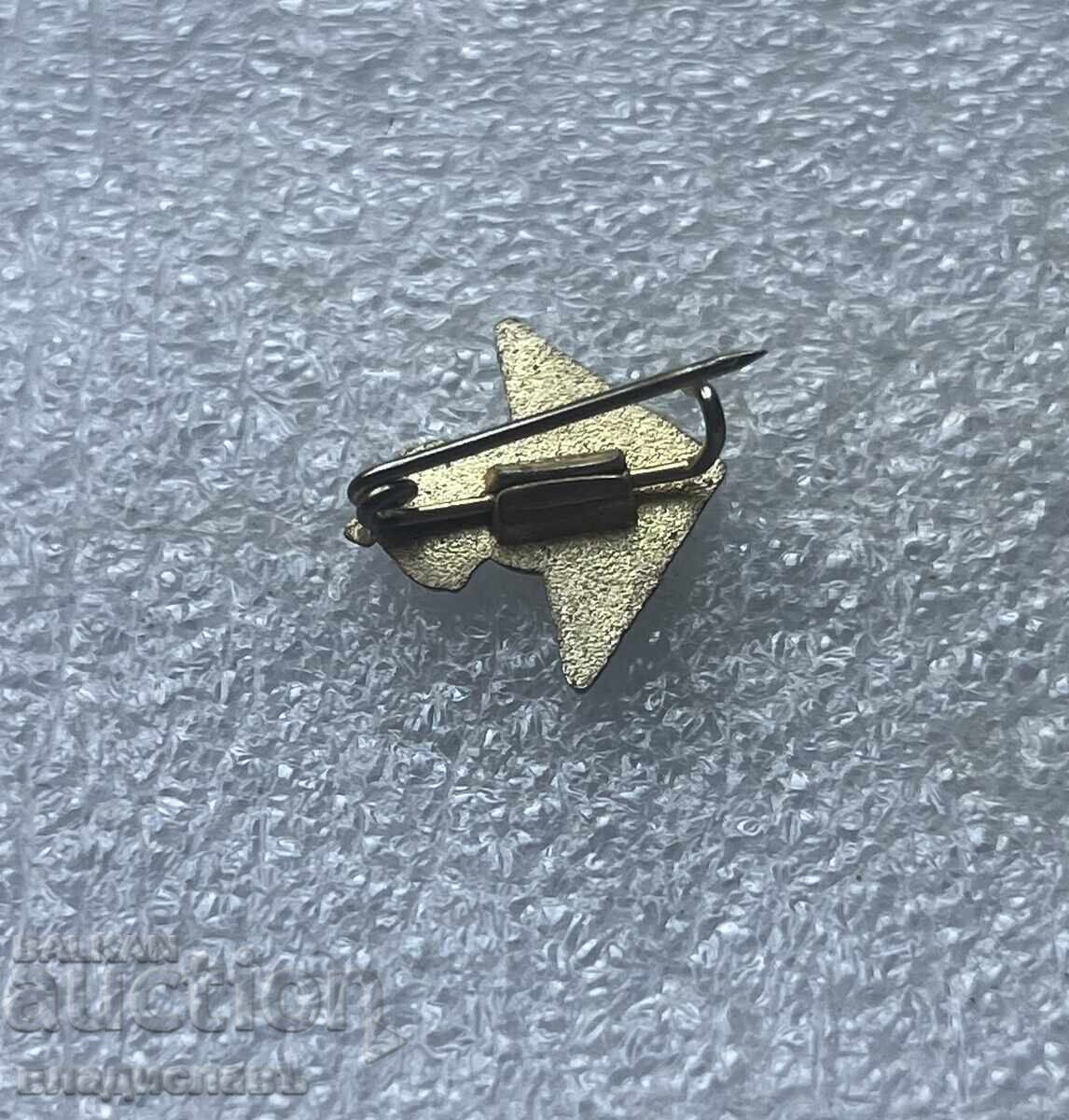 Spain - Real Betis football badge with price € 9.97 | 19.50 BGN