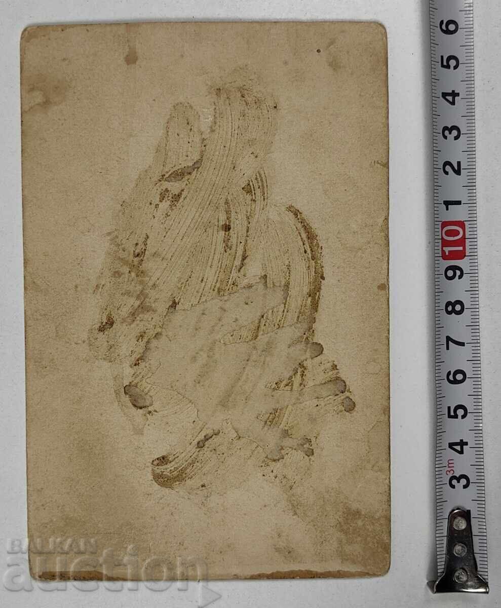 КРАЯТ НА 19-ТИ ВЕК СТАРА СЕМЕЙНА СНИМКА ФОТОГРАФИЯ КАРТОН - 6