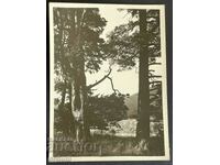 2345 Царство България Рила курорт Семково