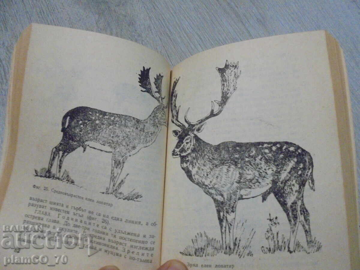 Auction №*8336 Selective shooting of large game - Zemizdat, 1986 Auction №*8336 Selective shooting of large game - Zemizdat, 1986