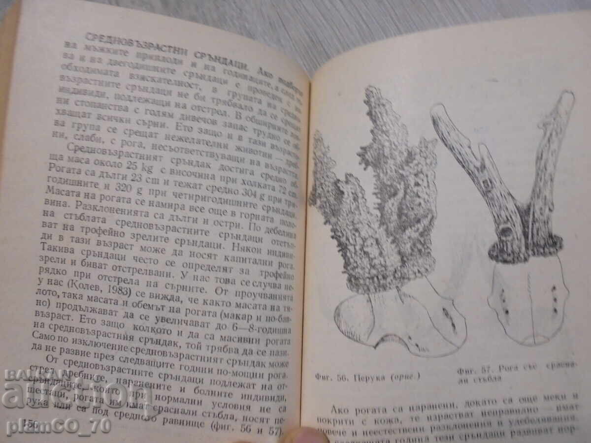 Delivery of №*8336 Selective shooting of large game - Zemizdat, 1986 Delivery of №*8336 Selective shooting of large game - Zemizdat, 1986