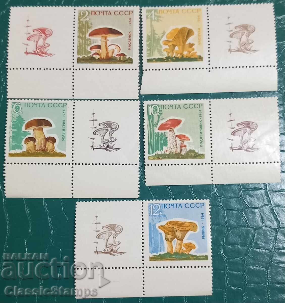 Чиста серия СССР гъби с лак и винетка 1964 Чиста серия СССР гъби с лак и винетка 1964