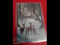 Παλιά καρτ ποστάλ