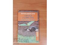 ΔΟΚΙΜΑΣΜΕΝΕΣ ΣΥΝΤΑΓΕΣ ΚΑΤΑ Τυφλοπόντικα ΚΑΙ ΤΥΦΛΟΥ ΣΚΥΛΟΥ