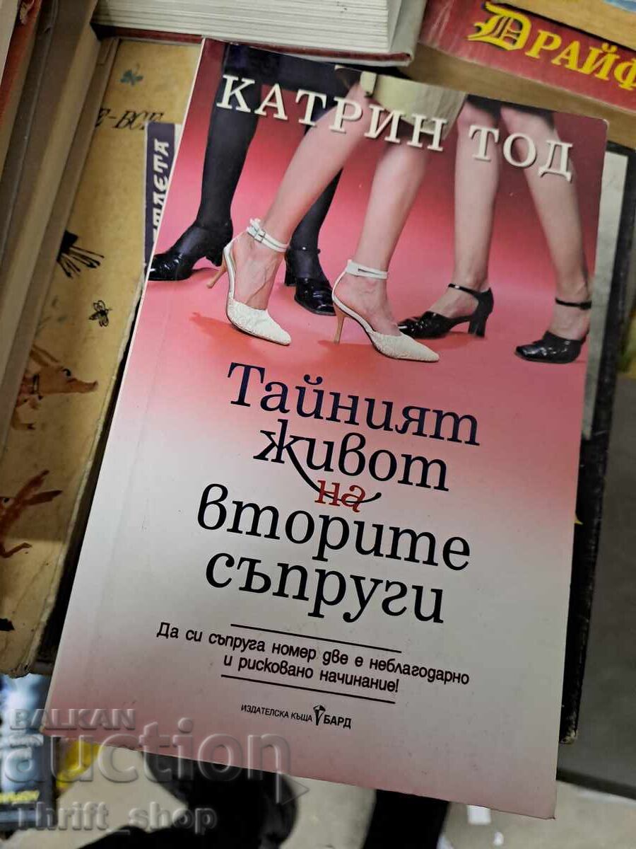 The Secret Life of Second Wives by Catherine Todd