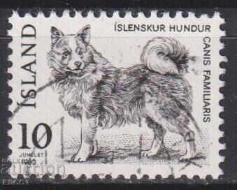 Timbrul poștal timbrat Fauna Kuche 1980 din Islanda