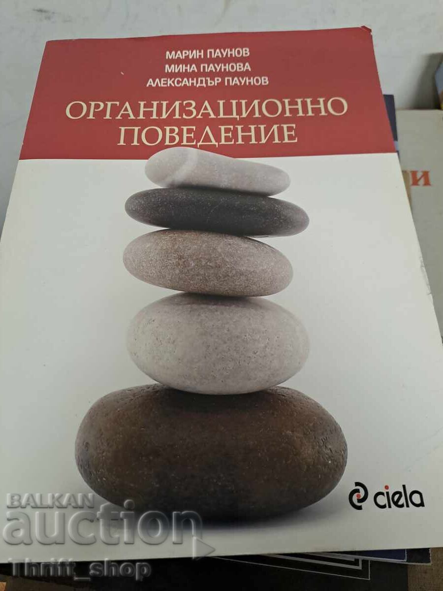 Οργανωτική συμπεριφορά Marin Paunov