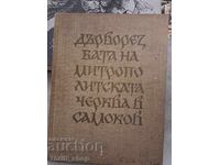Η ξυλογλυπτική της μητροπολιτικής εκκλησίας στο Σαμοκόβ