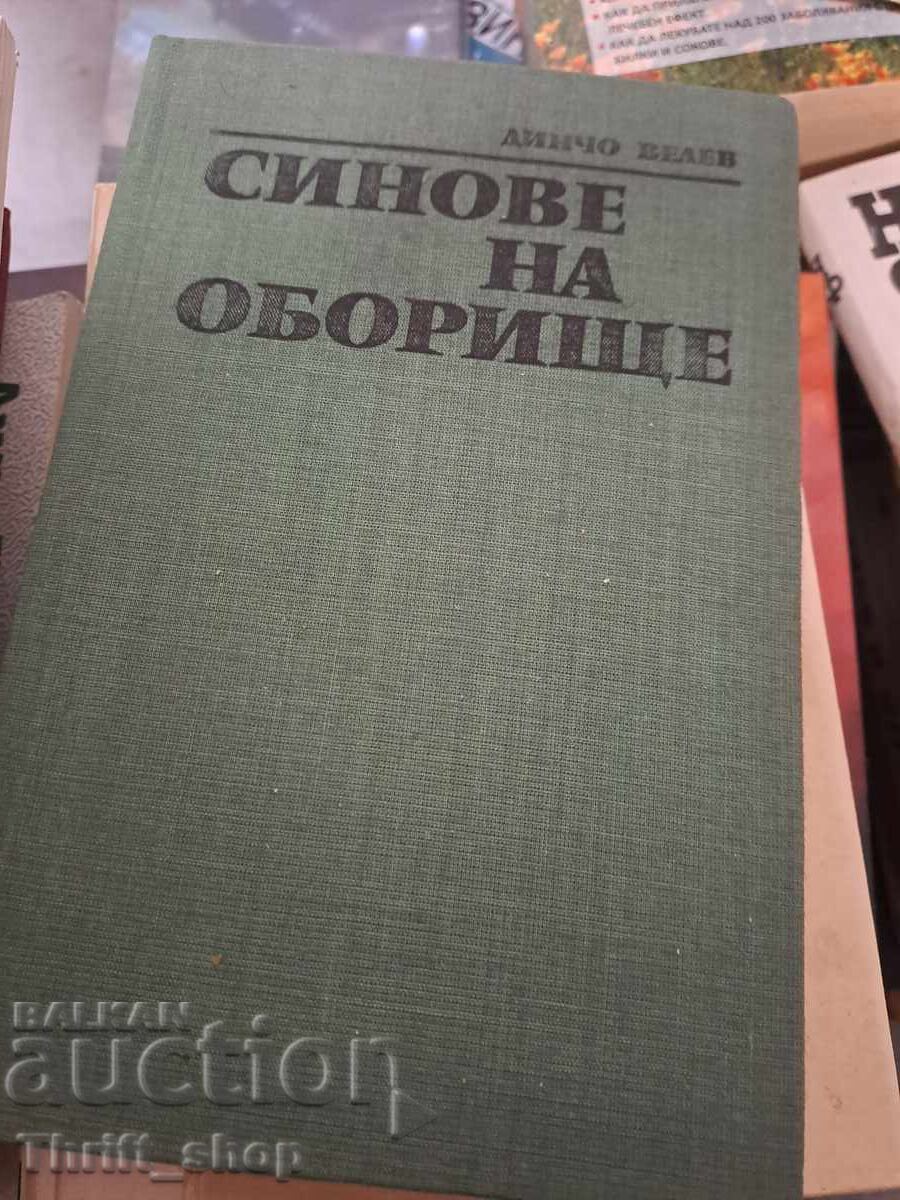 Γιοι του Ομπορίστε Ντίντσο Βέλεφ