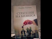 Στρατηγικές για την επιχείρηση Μαριν Παουνοφ