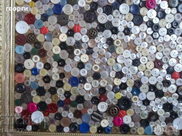 Auction Panel Auction Panel