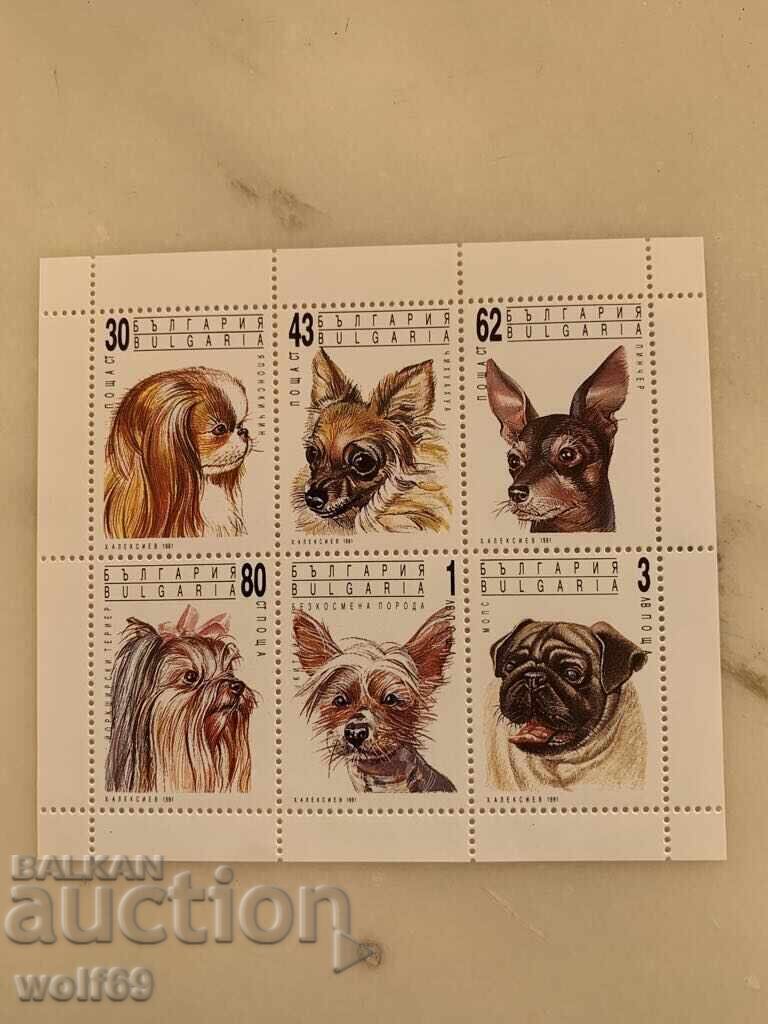 Block, brand-Show Dogs-1991.