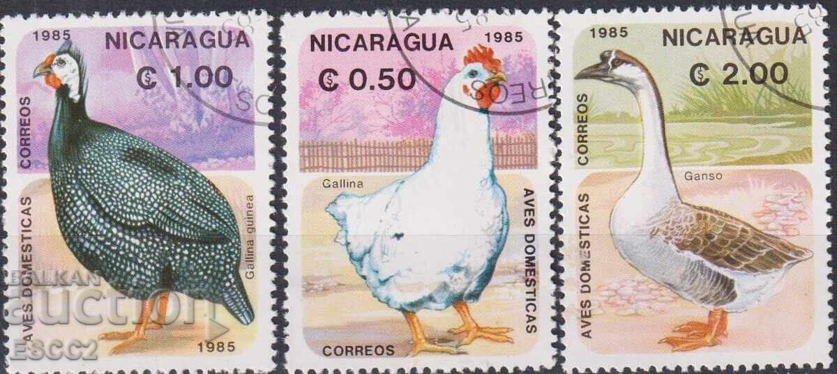 Σφραγίδες με σήμανση Fauna Domashni Ptitsi 1985 από Νικαράγουα
