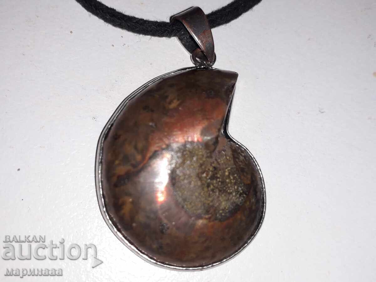 Auction  Fossil Necklace