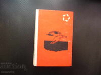 Θαλασσινές μελωδίες Αμπού Σαρσενμπάγιεφ, μυθιστόρημα, η θάλασσα απέραντη, γλάροι