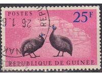 Σφραγισμένο γραμματόσημο Fauna Πουλιών Τοκάκι 1961 από Γουινέα