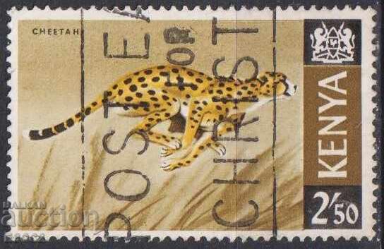 Certified Fauna Cheetah 1966 from Kenya