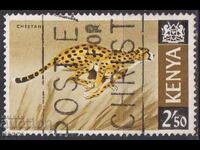 Certified Fauna Cheetah 1966 from Kenya