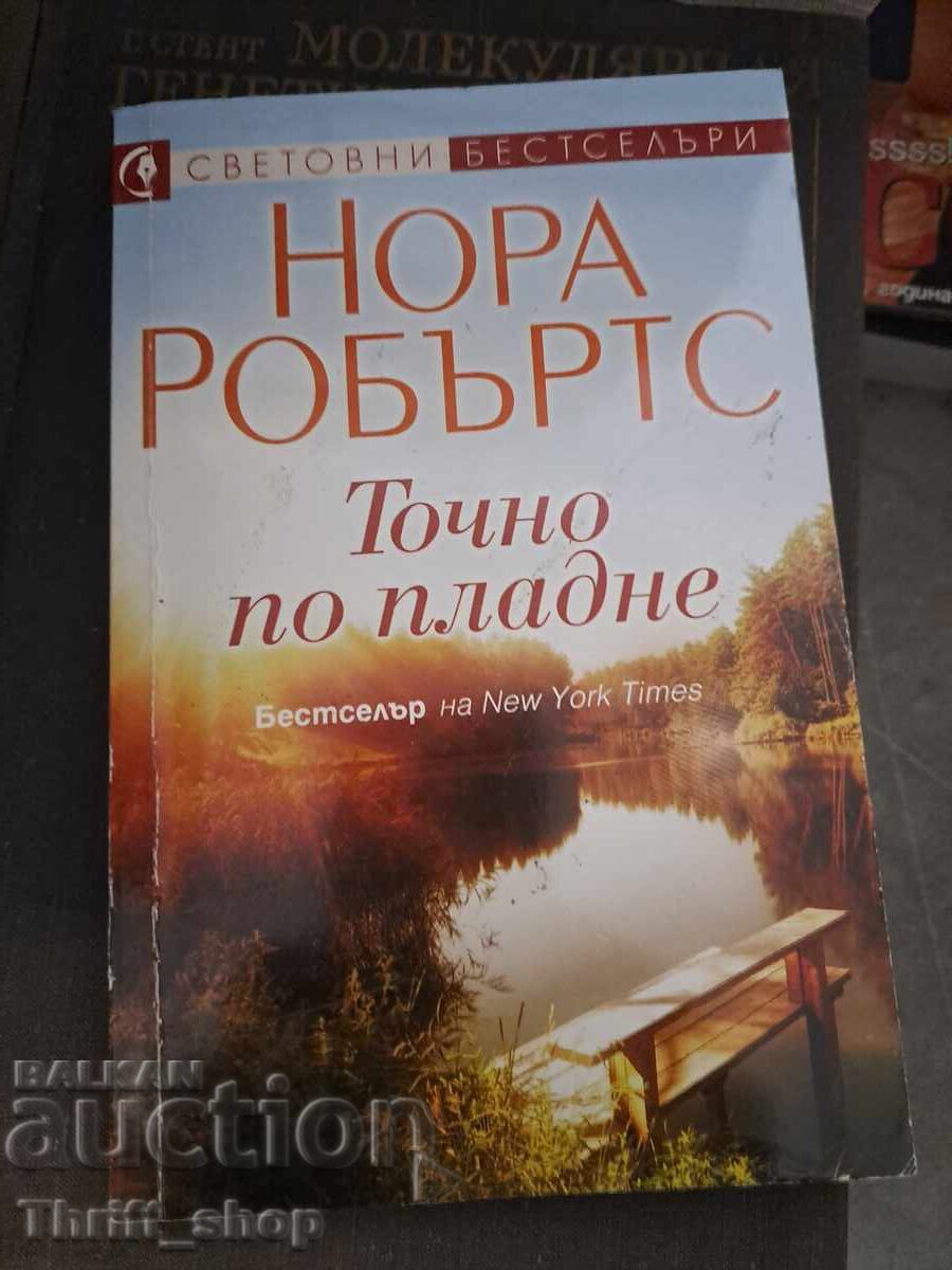 Ακριβώς το μεσημέρι Νόρα Ρόμπερτς