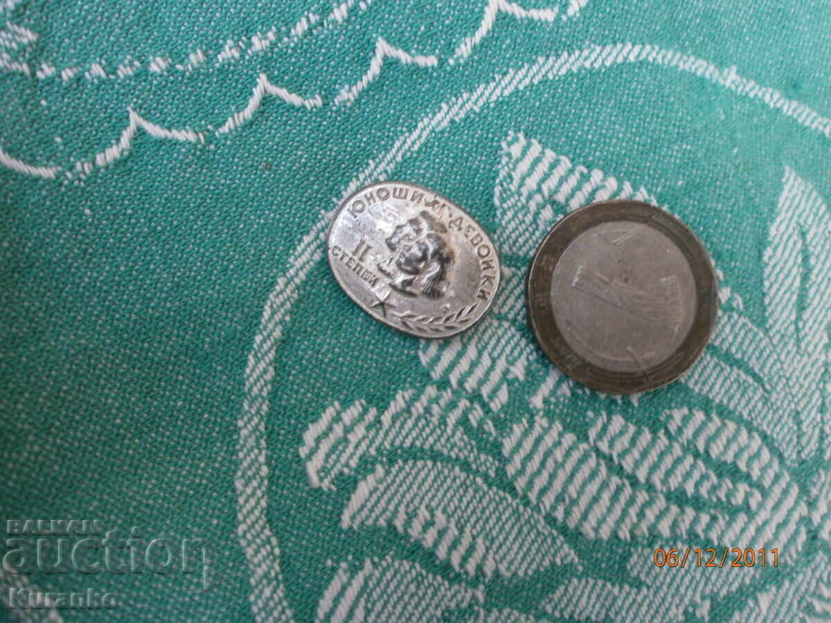 Рядък знак 2-ра степен юноши и девойки отличен - 6 Рядък знак 2-ра степен юноши и девойки отличен - 6